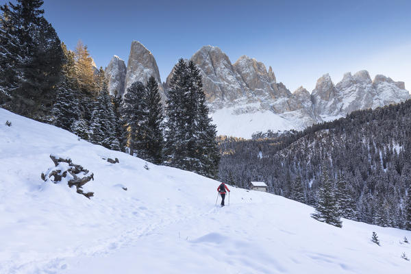A hiker is walking on the fresh snow in Villnössertal, with the Geisler in the background, Bolzano province, South Tyrol, Trentino Alto Adige, Italy