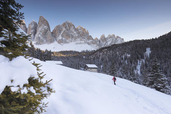 A hiker is walking on the fresh snow in Villnössertal, with the Geisler in the background, Bolzano province, South Tyrol, Trentino Alto Adige, Italy
