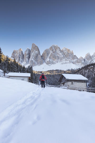 A hiker is walking on the fresh snow in Villnössertal, with the Geisler in the background, Bolzano province, South Tyrol, Trentino Alto Adige, Italy