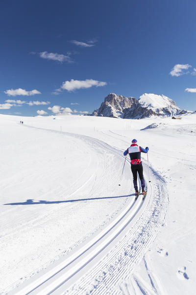 An athlete are running with cross-country skis on Seiser Alm with the Langkofel and Plattkofel in the background, Bolzano province, South Tyrol, Trentino Alto Adige, Ital