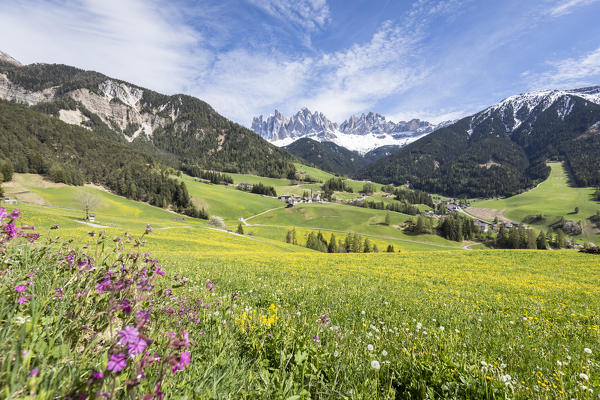 a sping view of Villnöss with the Geisler group in the background, Bolzano province, south Tyrol, Trentino Alto Adige, Italy