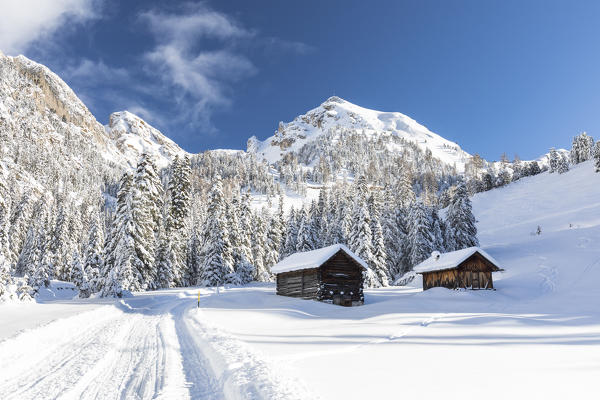 winter landscape in Villnöss with two alpine huts into a snowz forest, Bolzano province, South Tyrol, Trentino Alto Adige, Italy,
