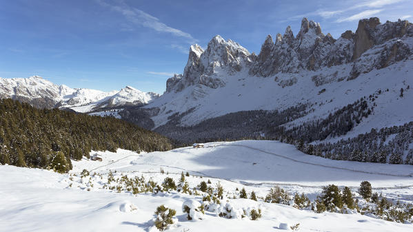 a winter view of Puez-Geisler nature park after the first snow with Brogles Hut in the background, Bolzano province, South Tyrol, Trentino Alto Adige, Italy, Europe