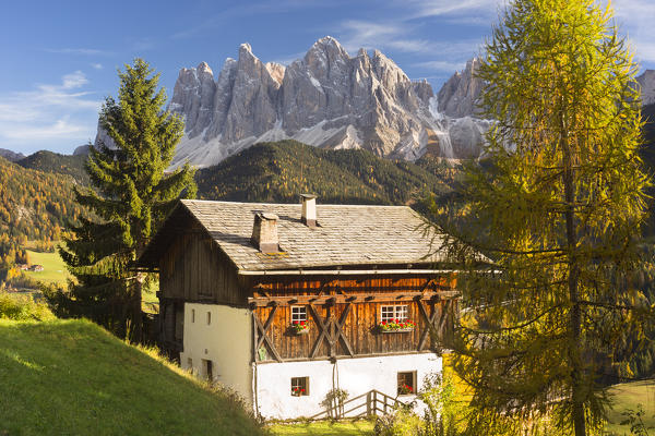 an autumnal view of an old mountain farm in Villnöss with the Geisler in the background