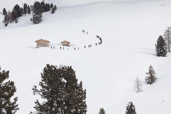 a group of trekkers is going up in a single file on a snowly slope in Villnoss, Bolzano province, South Tyrol, Trentino Alto Adige, Italy, Europe