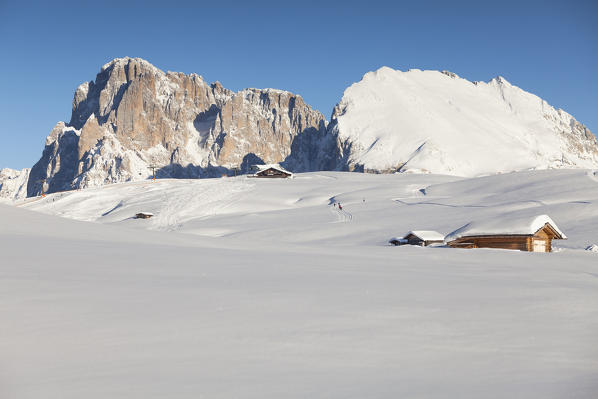 a winter landscape of the Seiser Alm with beautiful meadows full of fresh snow and some huts and the Langkofel and Plattkofel Peaks in the background, Bolzano province, South Tyrol, Trentino Alto Adige, Italy, Europe