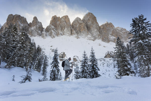 a hiker with snowshoe and the Geisler in the background, along the Adolf Munkel Weg, one of the most beautiful route in Villnössertal, Bolzano province, Trentino Alto Adige, South Tyrol, Italy, Europe.