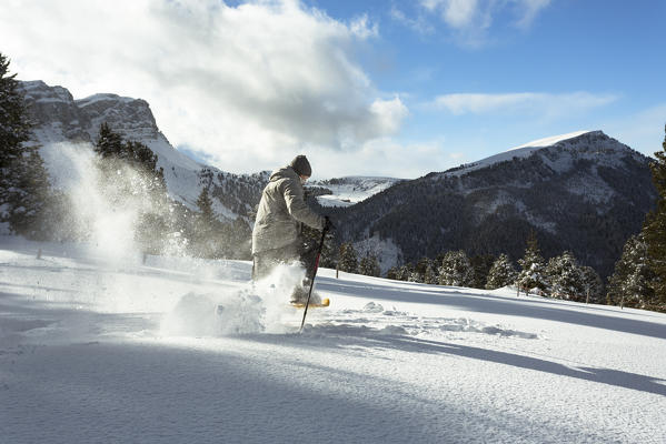 a hiker with snowshoe running in the powder, along the Adolf Munkel Weg, one of the most beautiful route in Villnössertal, Bolzano province, Trentino Alto Adige, South Tyrol, Italy, Europe.