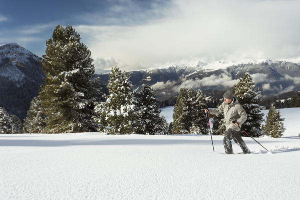 a hiker with snowshoe walking in the fresh snow, along the Adolf Munkel Weg, one of the most beautiful route in Villnössertal, Bolzano province, Trentino Alto Adige, South Tyrol, Italy, Europe.