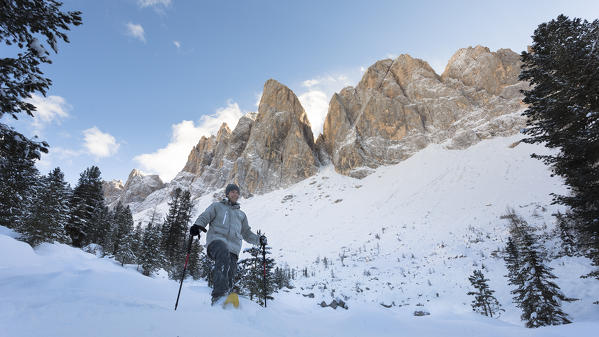 a hiker with snowshoe walking in the fresh snow with Geisler in the background, along the Adolf Munkel Weg, one of the most beautiful route in Villnössertal, Bolzano province, Trentino Alto Adige, South Tyrol, Italy, Europe.