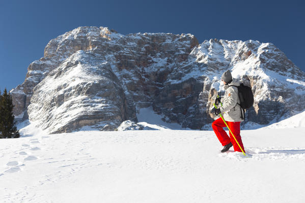a winter trekking into the fresh snow with a beautiful dolomitic background as the Croda Rossa d'Ampezzo,Bolzano province, south Tyrol, Trentino Alto Adige, Italy, Europe