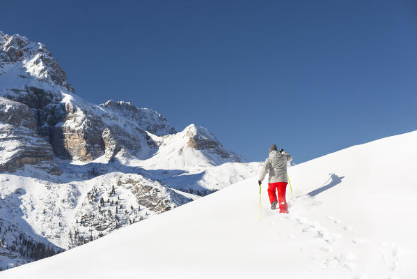 a winter trekking into the fresh snow with a beautiful dolomitic background as the Croda Rossa d'Ampezzo,Bolzano province, south Tyrol, Trentino Alto Adige, Italy, Europe
