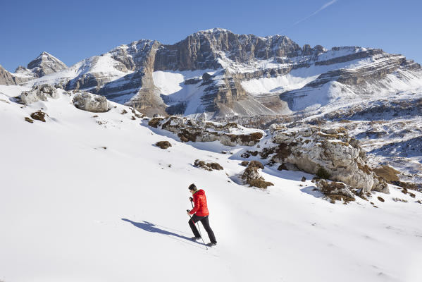 a view of the uphill to Monte Spinale with the Brenta Group in the background, Trento province, Trentino Alto Adige, Italy, Europe