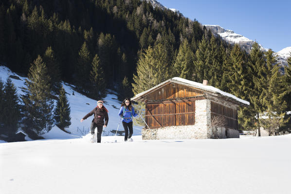 two hikers are running into fresh snow with their snowshoes in the Rabbi Valley, Trento province, Trentino Alto Adige, Italy, Europe