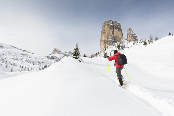 a view of a hiker going up a hill with snowshoes and the Cinque Torri in the background, Belluno province, Veneto, Italy, Europe