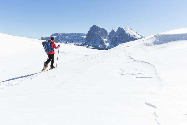 a view of a hiker walking into fresh snow with snowshoes with Langkofel Group in the background, Bolzano province, South Tyrol, Trentino Alto Adige, Italy, Europe
