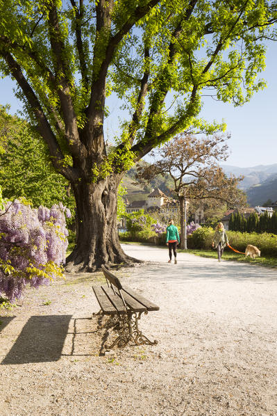 the famous promenade in Bolzano with some people taking a walk, Bolzano province, South Tyrol, Trentino Alto Adige, Italy, Europe