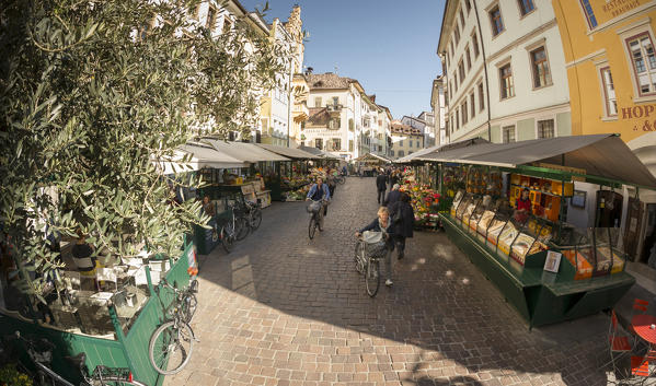 a view of Piazza delle Erbe in Bolzano, with the typical street market, Bolzano province, South Tyrol, Trentino Alto Adige, Italy, Europe, 