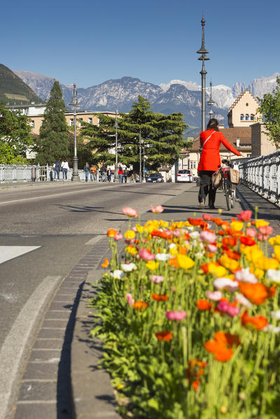 a view of the Talvera Bridge, with the Old Town and the Dolomites in the background, Bolzano province, South Tyrol, Trentino Alto Adige, Italy, Europe, 