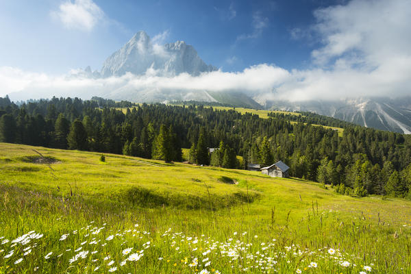 a view of Würzjoch (passo delle erbe) with Peitlerkofel in the background, Bolzano province, South Tyrol, Trentino Alto Adige, Italy