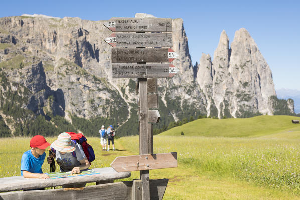 tourists are looking at a hiking map on the Seiser Alm (Alpe di Siusi), Bolzano province, South Tyrol, Trentino Alto Adige, Italy