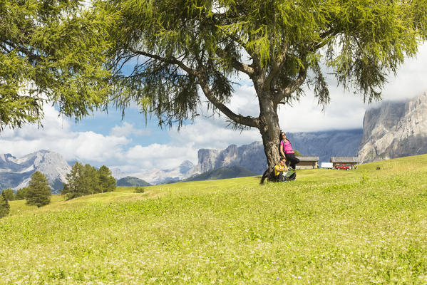 a couple of tourists is relaxing under a big tree on the Seiser Alm, (Alpe di Siusi), Bolzano province, South Tyrol, Trentino Alto Adige, Italy