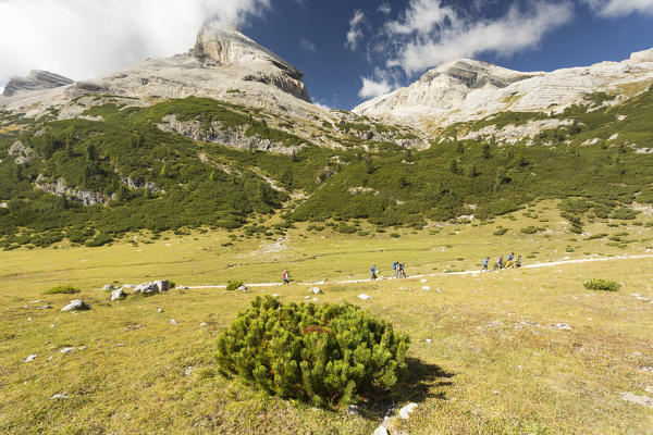 a group of hikers into the Fanes, Sennes, Prags Natural Park, Bolzano province, South Tyrol, Trentino Alto Adige, Italy