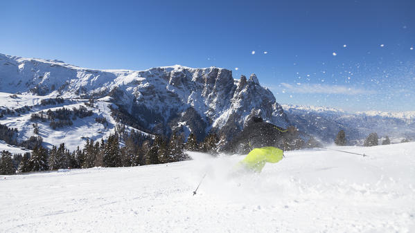  skier is skiing in the fresh snow with the Schlern in the background, Bolzano province, South Tyrol, Trentino Alto Adige, Italy