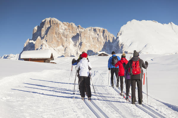 a group of skiers are going with the cross country skies with the langkofel Group in the background, Bolzano province, South Tyrol, Trentino Alto Adige, Italy