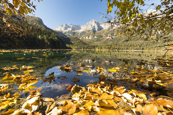 an autumnal view of the Tovel Lake (Lago di Tovel) with the Brenta Group in the background, Trento province, Trentino Alto Adige, Italy