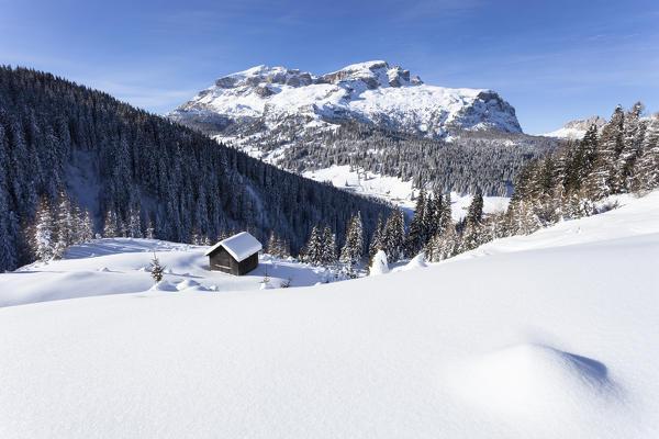 a winter view in Val Badia with the Sella Group in the background, Bolzano province, South Tyrol, Trentino Alto Adige, Italy