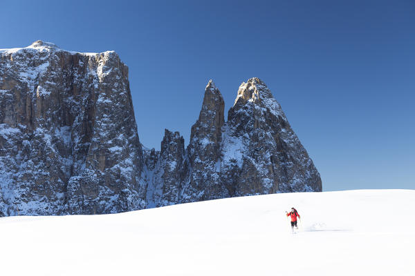 a hiker is running down with snowshoes on the Seiseralm with the Schlern in the background, Bolzano province, South Tyrol, Trentino Alto Adige, Italy