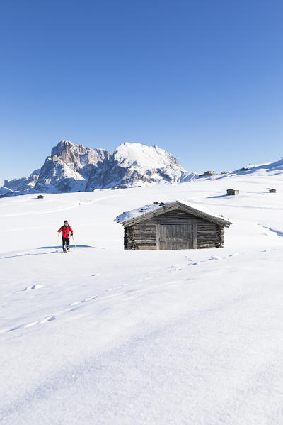 a hiker is trekking with snowshoes on the Seiseralm with Langkofel and Plattkofel in the background, Bolzano province, South Tyrol, Trentino Alto Adige, Italy