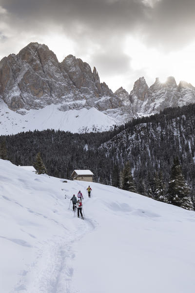 a group of hikers is trekking with snowshoes in Villnössertal with the Geisler in the background, Bolzano province, South Tyrol, Trentino Alto Adige, Italy