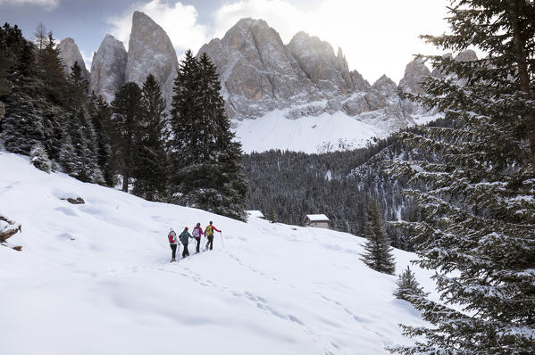 a group of hikers is trekking with snowshoes in Villnössertal with the Geisler in the background, Bolzano province, South Tyrol, Trentino Alto Adige, Italy