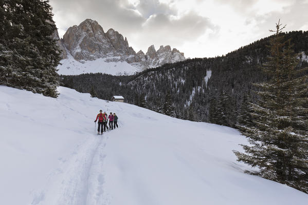 a group of hikers is trekking with snowshoes in Villnössertal with the Geisler in the background, Bolzano province, South Tyrol, Trentino Alto Adige, Italy