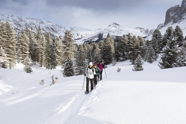 a group of hikers is trekking with snowshoes in Villnössertal, Bolzano province, South Tyrol, Trentino Alto Adige, Italy