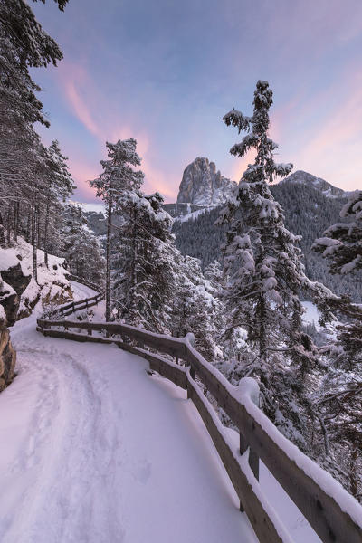 The Legend Trail, a suggestive path in Val Gardena with Langkofel and Plattkofel in the background, Bolzano province, South Tyrol, Trentino Alto Adige, Italy