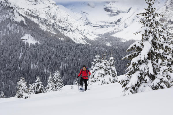 a hiker is walking with snowshoes into the fresh snow with the Brenta Group in the background, Bolzano province, South Tyrol, Trentino Alto Adige, Italy