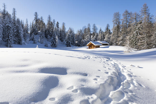 a suggestive view of little huts surrounded by snowy forest in Val Badia, Bolzano province, South Tyrol, Trentino Alto Adige, Italy,