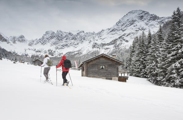two hikers are walking with snowshoes in Fassa Valley, Trento province, Trentino Alto Adige, Italy