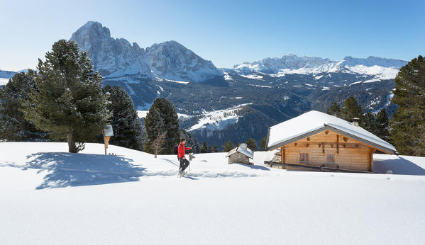 a hiker is walking with snowshoes in Val Gardena with the Langkofel in the background, Bolzano province, Souh Tyrol, Trentino Alto Adige, Italy