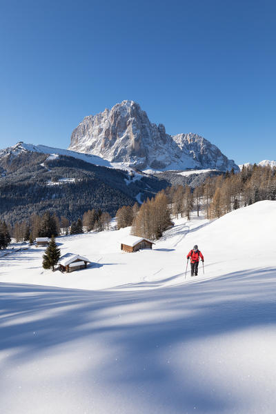 a hiker is walking with snowshoes in Val Gardena with the Langkofel in the background, Bolzano province, South Tyrol, Trentino Alto Adige, Italy, (MR)