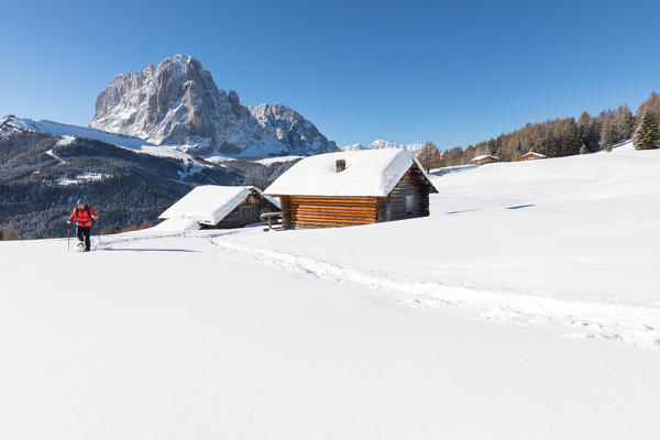 a hiker is walking with snowshoes in Val Gardena with the Langkofel in the background, Bolzano province, South Tyrol, Trentino Alto Adige, Italy, (MR)