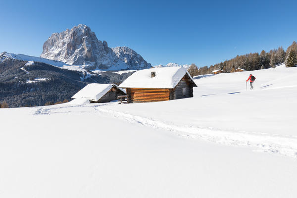 a hiker is walking with snowshoes in Val Gardena with the Langkofel in the background, Bolzano province, South Tyrol, Trentino Alto Adige, Italy,