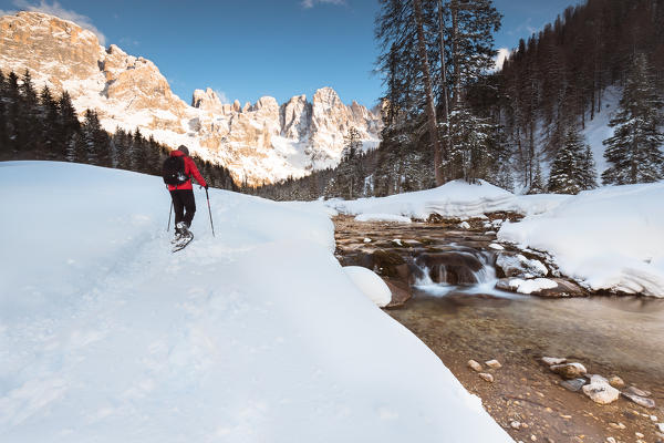 a hiker is walking with snowshoes next to a creek with the Pala Group in the background, Trento province, Trentino Alto Adige, Italy