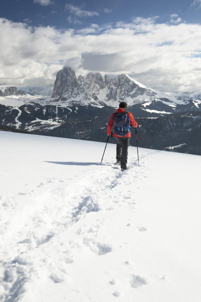 a hiker is walking with snowshoes in Val Gardena with the Langkofel and Plattkofel in the background, Bolzano province, South Tyrol, Trentino Alto Adige, Italy