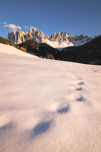 the Natural Park of Puez Geisler in Villnössertal with some old footprints in the snow and the Geisler Group in the background, Bolzano province, South Tyrol, Trentino Alto Adige, Italy
