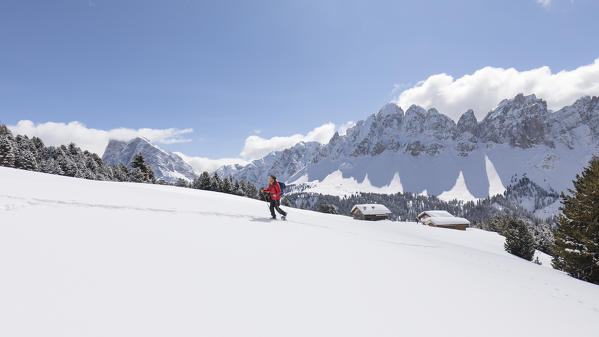 a hiker is walking with snowshoes into the Natural Park Puez Geisler with the Aferer Geisler in the background, Bolzano province, South Tyrol, Trentino Alto Adige, Italy, 