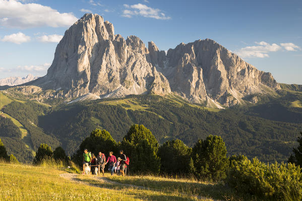 a group of hikers is walking in Val Gardena with the Langkofel and Plattkofel in the background, Bolzano province, South Tyrol, Trentino Alto Adige, Italy, 